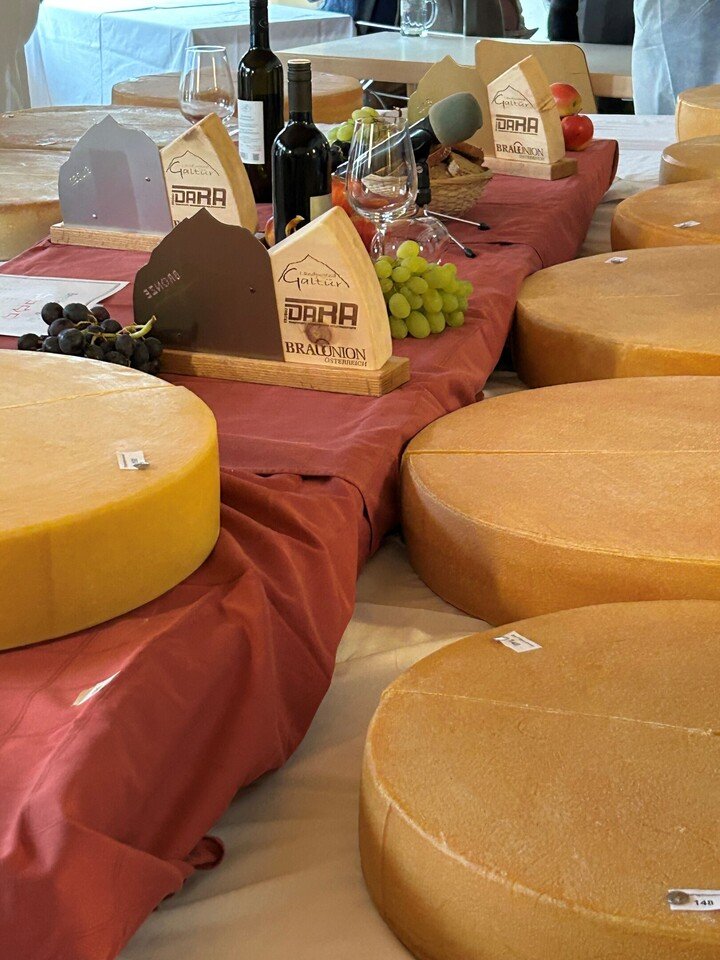 Online-Degustation - Terroir der Alpen: Unterschiede zwischen Alm-, Alp- und Bergkäse